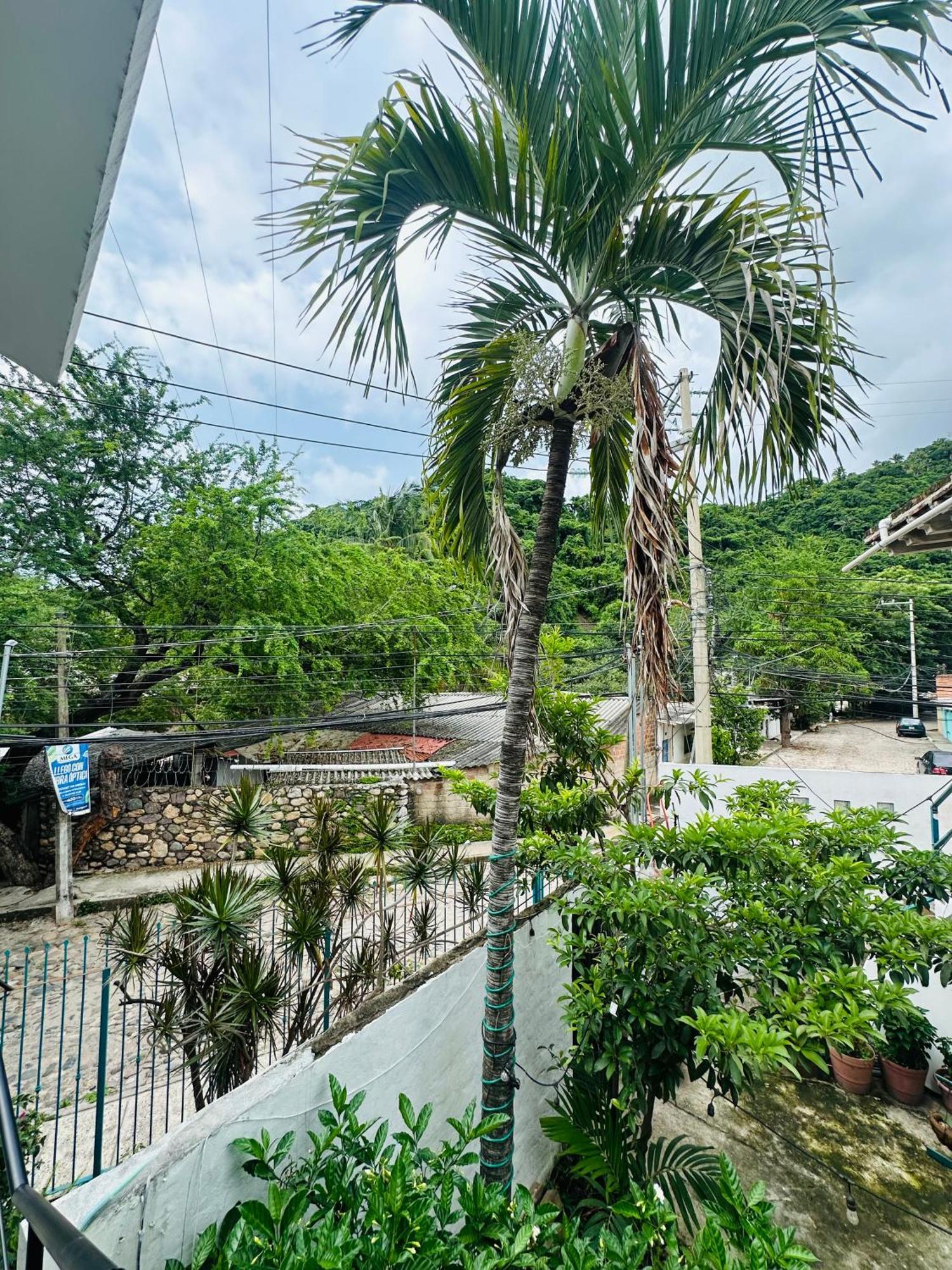 Loft Rio Appartement Puerto Vallarta Buitenkant foto